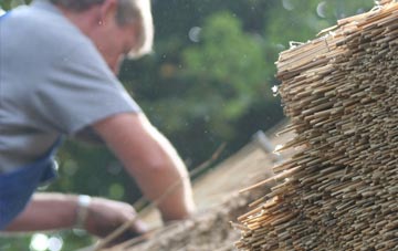 professional Weymouth thatchers