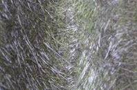 Weymouth fibreglass roof work